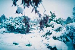 2012/V - 27.10.; ca. 18.00Uhr: Erster Schnee; ein Tag nach dem österreichischen Staatsfeiertag 